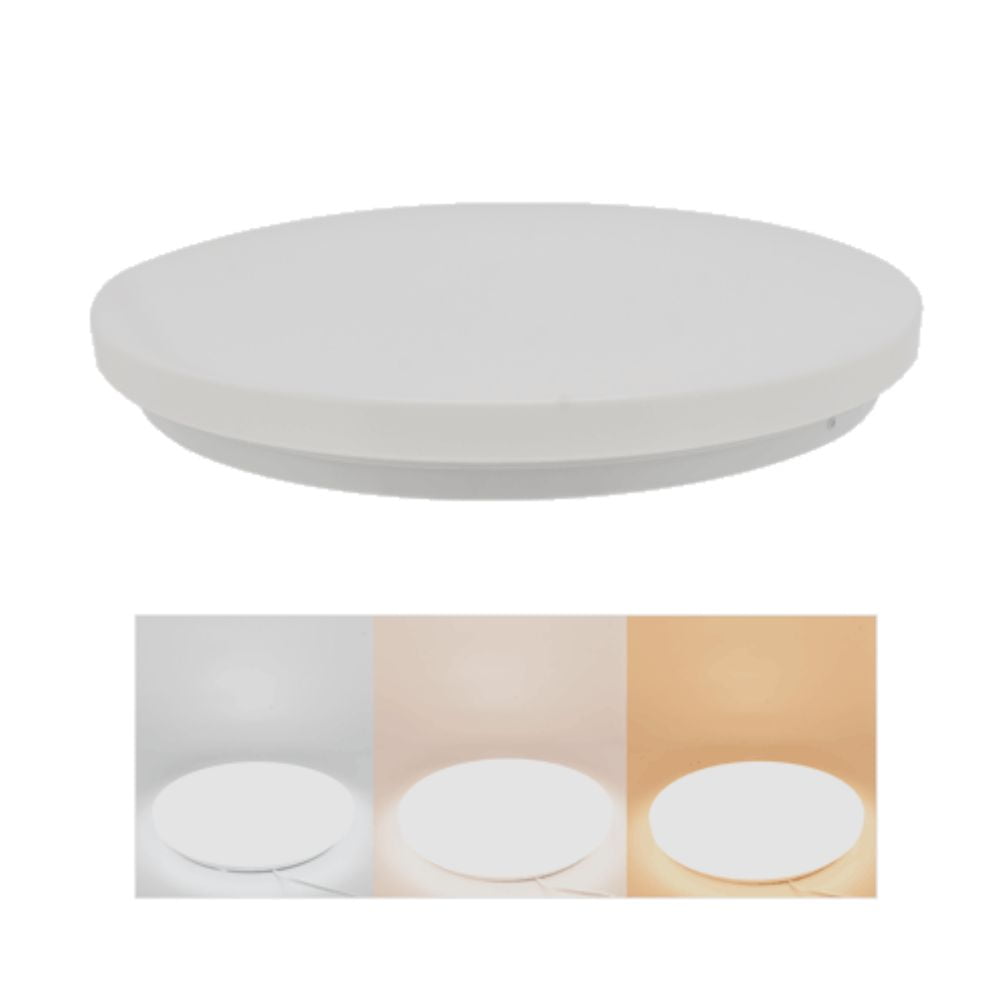 Ceiling Light