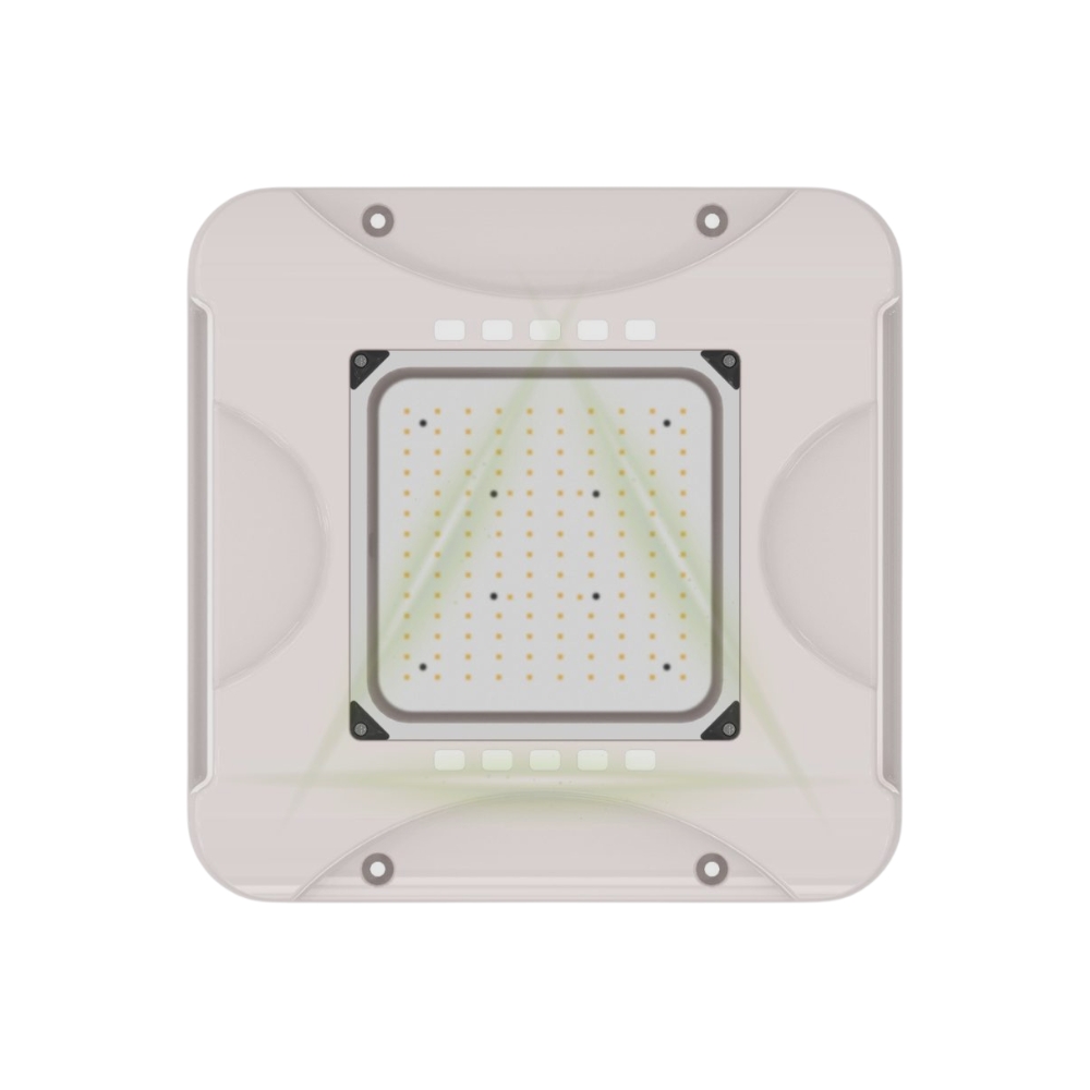 150W LED Canopy light