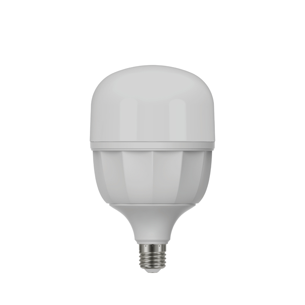 50W LED Heavy Duty E27 Bulb