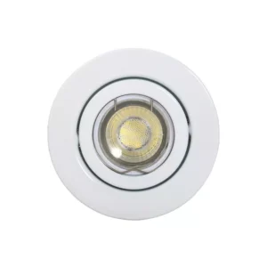 dl116/schr tilt [adjustable] twist lock downlight (copy)