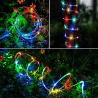 10M Rope Lights LED (Electricity)
